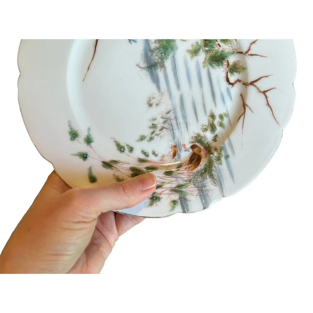 Charles Field Haviland Salad Plates 8 1/2” (Set of 2)